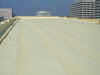 P1010018.jpg (189048 bytes)